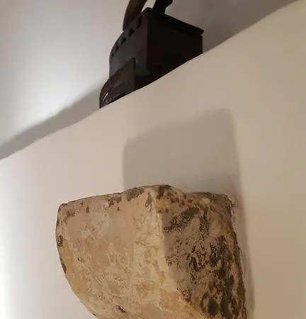 Lägenhet Turtle *